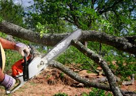 Lawn Irrigation Installation and Maintenance in Gravette, AR